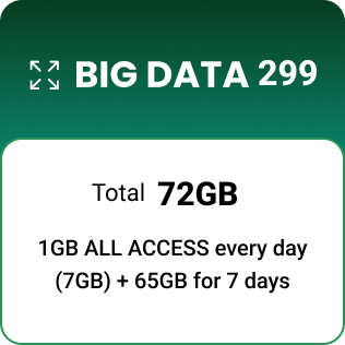 BIG DATA 299